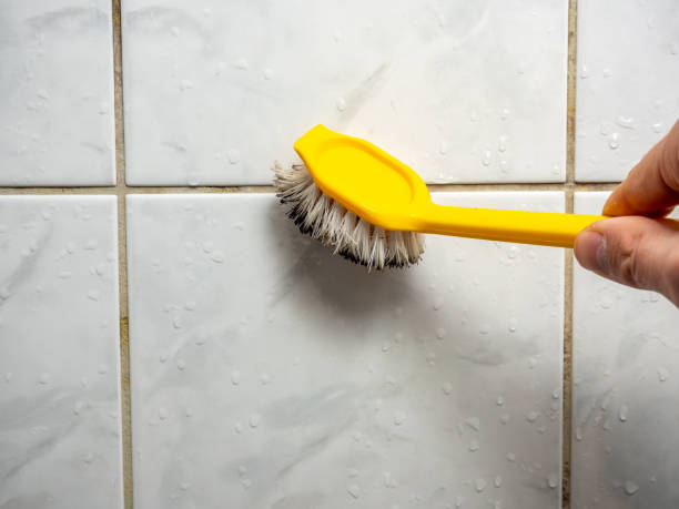 Best Certified Mold Removal  in Winterset, IA