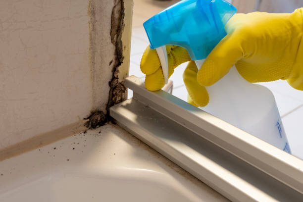 Mold Testing and Removal in Winterset, IA