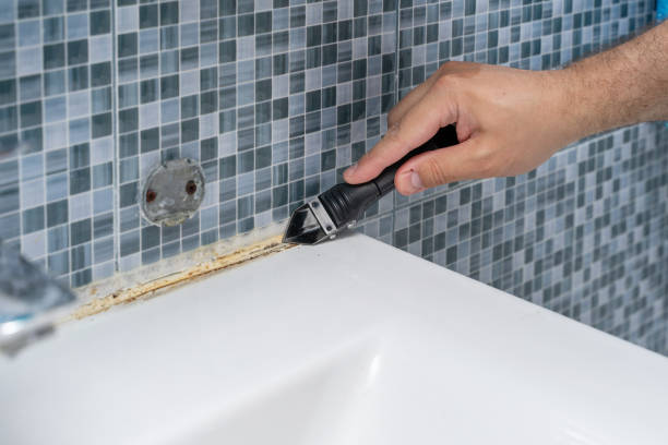 Best Affordable Mold Removal  in Winterset, IA
