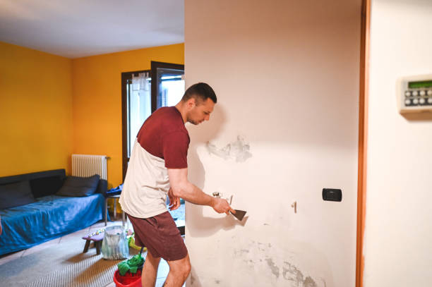 Best Emergency Mold Removal  in Winterset, IA
